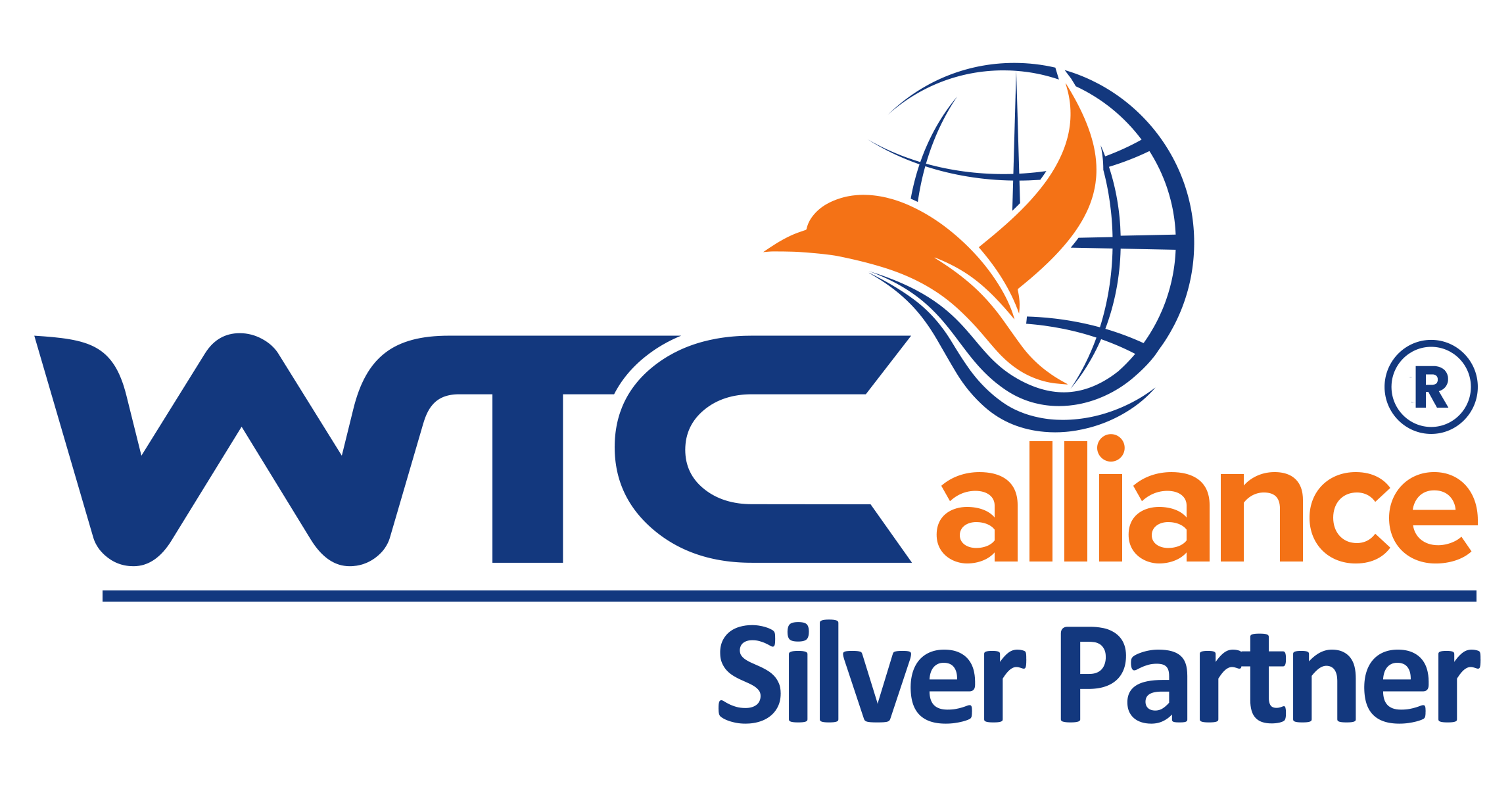 Silver Partner